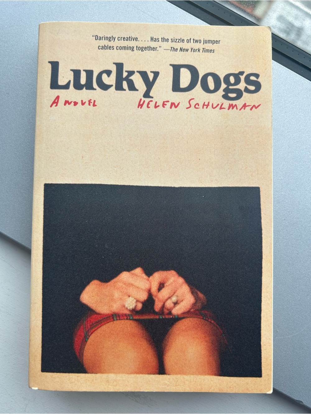 Lucky Dogs by Helen Schulman- Like New Paperback